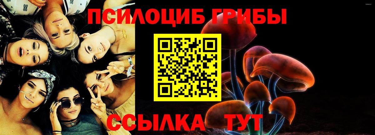 Галлюциногенные грибы прущие грибы Жигулёвск